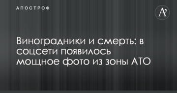 Виноградники і смерть: у соцмережі з'явилося потужне фото із зони АТО