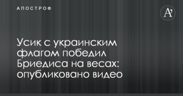 Усик з українським прапором переміг Брієдіса на вагах: опубліковано відео