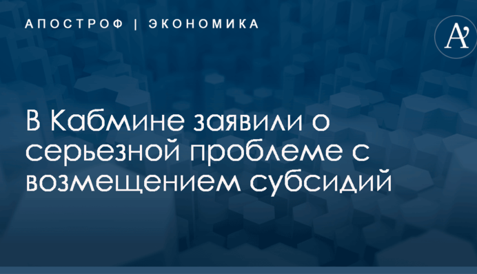 ​Это коллапс: в Кабмине заявили о серьезной проблеме с возмещением субсидий