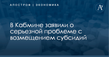 ​Это коллапс: в Кабмине заявили о серьезной проблеме с возмещением субсидий