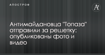 Антимайдановца "Топаза" отправили за решетку: опубликованы фото и видео