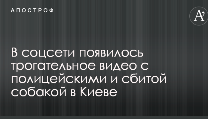 У соцмережі з'явилося зворушливе відео з поліцейськими і збитим собакою в Києві