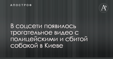 У соцмережі з'явилося зворушливе відео з поліцейськими і збитим собакою в Києві