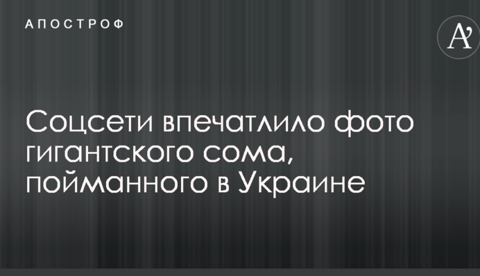 Соцмережі вразило фото гігантського сома, спійманого в Україні