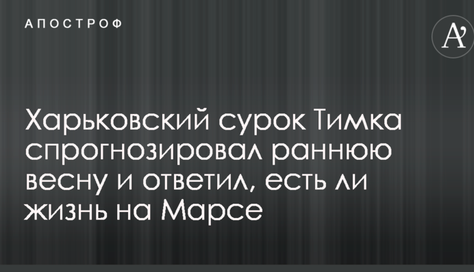 Харьковский сурок Тимка спрогнозировал раннюю весну и ответил, есть ли жизнь на Марсе