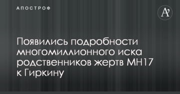 Появились подробности многомиллионного иска родственников жертв MH17 к Гиркину