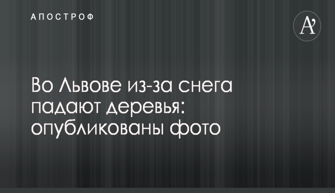 ​НФ инициирует постановление Рады о непризнании выборов президента России в Крыму