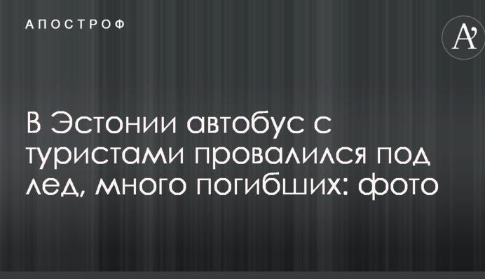 В Естонії автобус з туристами провалився під лід, багато загиблих: опубліковані фото