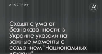 Сходять з розуму від безкарності: в Україні вказали на важливі моменти зі створенням "Національних дружин"