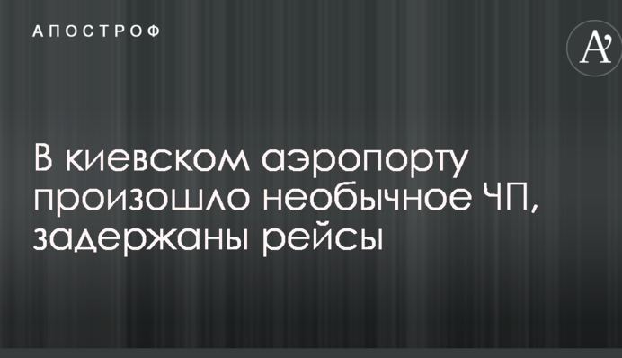 В киевском аэропорту произошло необычное ЧП, задержаны рейсы