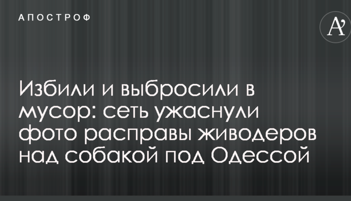 Побили і викинули в сміття: мережу жахнули фото розправи шкуродерів над собакою під Одесою