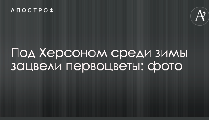Под Херсоном среди зимы зацвели первоцветы: опубликованы фото