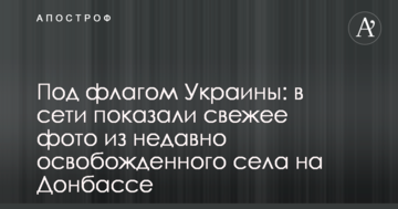 Під прапором України: в мережі показали свіже фото з недавно звільненого села на Донбасі