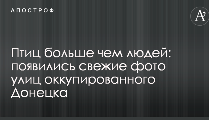 Птиц больше чем людей: появились свежие фото улиц оккупированного Донецка