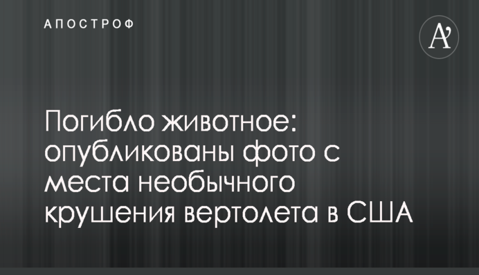 Мэр Киева возложил цветы к памятнику воинам-афганцам