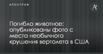 Мер Києва поклав квіти до пам'ятника воїнам-афганцям