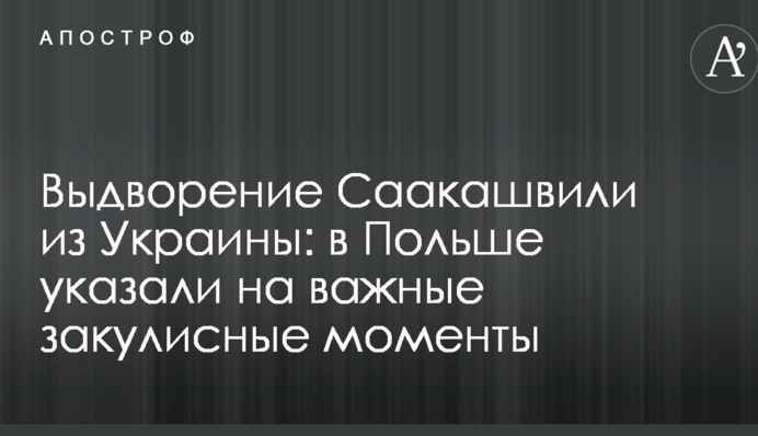 Выдворение Саакашвили из Украины: в Польше указали на важные закулисные моменты