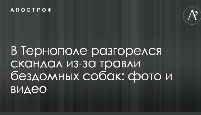 В Тернополе разгорелся скандал из-за травли бездомных собак: опубликованы фото и видео