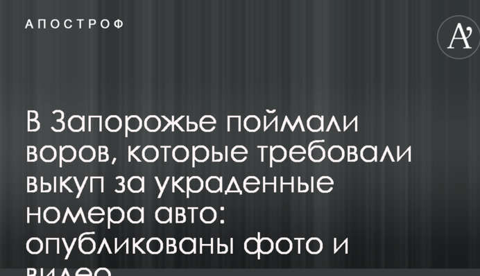 У Запоріжжі впіймали злодіїв, які вимагали викуп за вкрадені номери авто: опубліковано фото і відео
