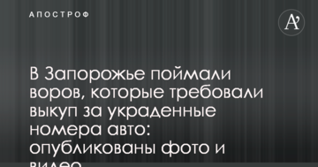 У Запоріжжі впіймали злодіїв, які вимагали викуп за вкрадені номери авто: опубліковано фото і відео