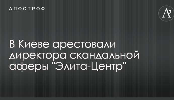 В Киеве арестовали директора скандальной аферы 