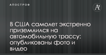У США літак екстрено приземлився на автомобільну трасу: опубліковано фото і відео