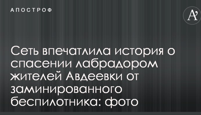 Мережу вразила історія про порятунок лабрадором жителів Авдіївки від замінованого безпілотника: фото