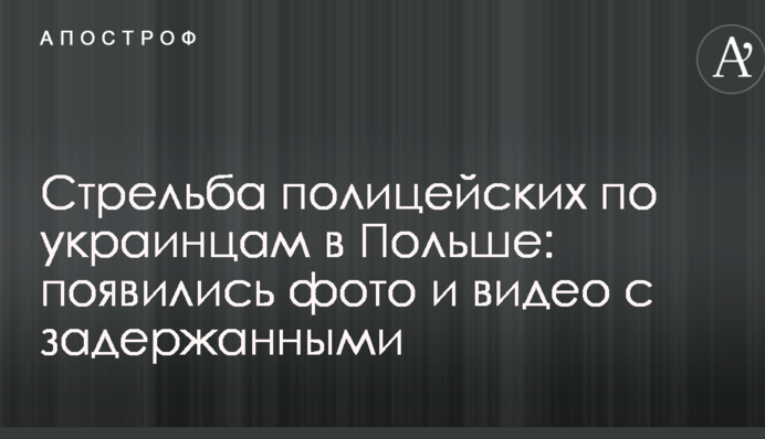 Стрілянина поліцейських по українцям у Польщі: з'явилися фото і відео з затриманими