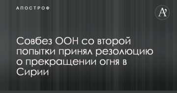 Радбез ООН з другої спроби прийняла резолюцію про припинення вогню в Сирії