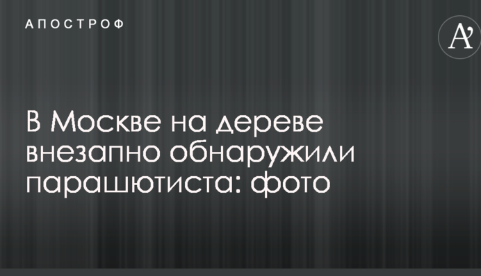 В Москве на дереве внезапно обнаружили парашютиста: опубликованы фото