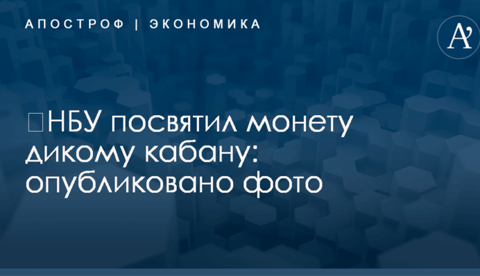 ​НБУ посвятил монету дикому кабану: опубликовано фото