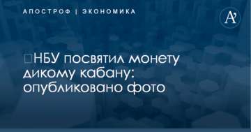 ​НБУ посвятил монету дикому кабану: опубликовано фото