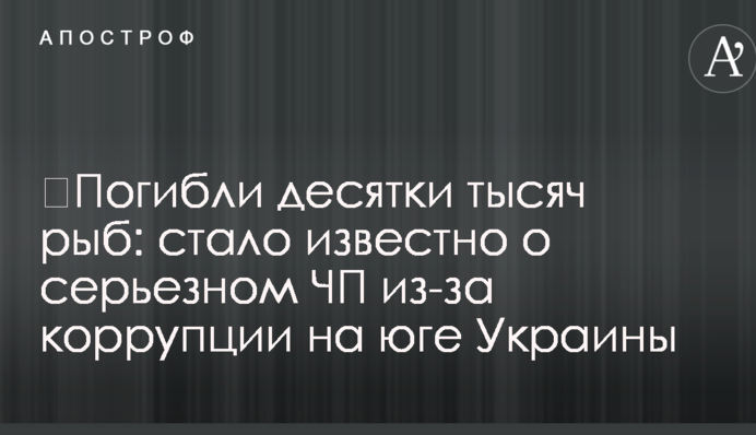 ​Погибли десятки тысяч рыб: стало известно о серьезном ЧП из-за коррупции на юге Украины