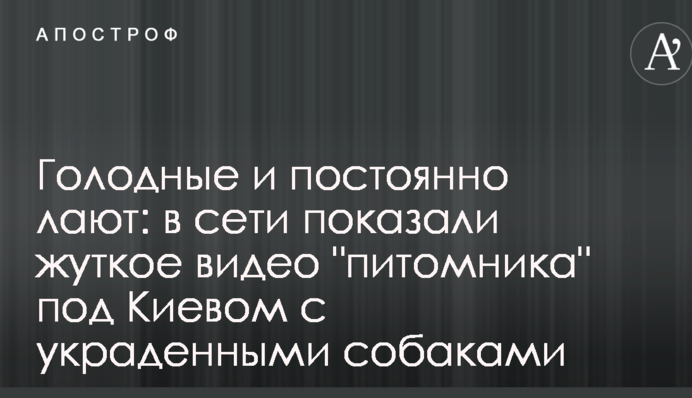 Голодні і постійно гавкають: в мережі показали моторошне відео 