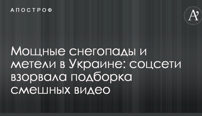 Мощные снегопады и метели в Украине: соцсети взорвала подборка смешных видео