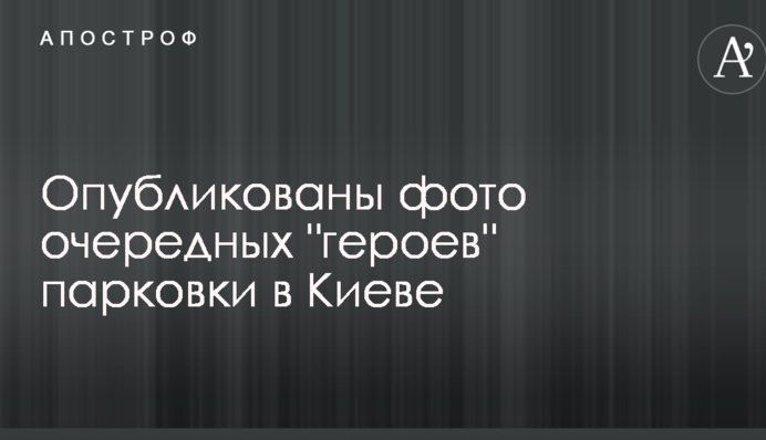 Безкультур'я, незважаючи на снігопади: опубліковані фото чергових 
