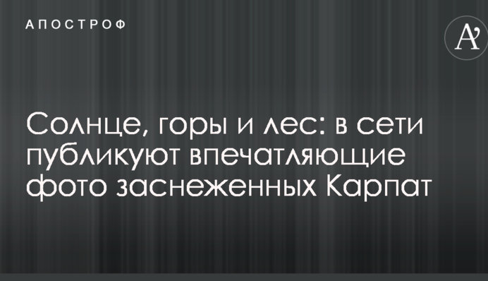 Сонце, гори й ліс: в мережі публікують вражаючі фото засніжених Карпат