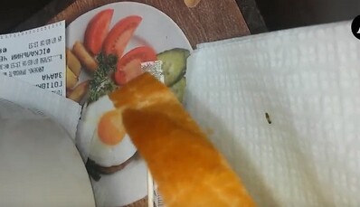 Таргани в їжі: в мережі показали відео моторошної знахідки у відомому ресторані в центрі Києва