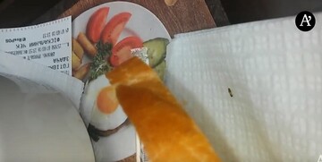 Таргани в їжі: в мережі показали відео моторошної знахідки у відомому ресторані в центрі Києва