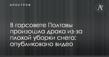 У міськраді Полтави сталася бійка через погане прибирання снігу: опубліковано відео