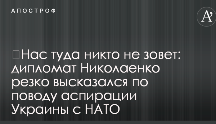 ​Нас туда никто не зовет: дипломат Николаенко резко высказался по поводу аспирации Украины с НАТО