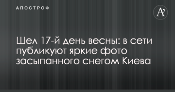 Йшов 17-й день весни: в мережі публікують яскраві фото засипаного снігом Києва