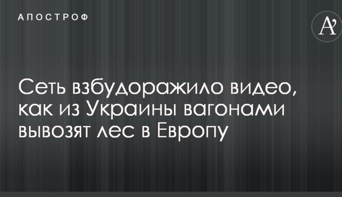 Сеть взбудоражило видео, как из Украины вагонами вывозят лес в Европу