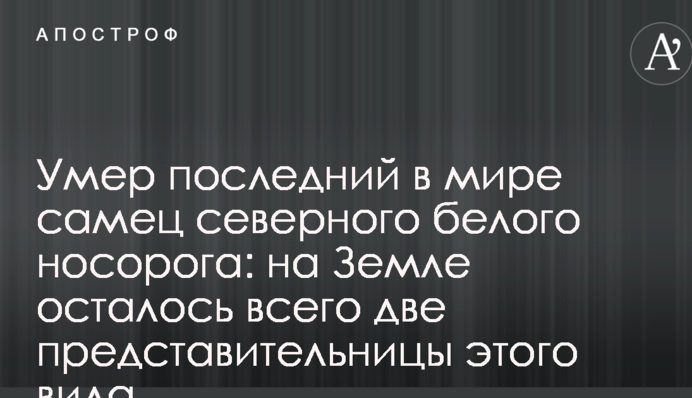 Помер останній у світі самець північного білого носорога: на Землі залишилося всього дві представниці цього виду
