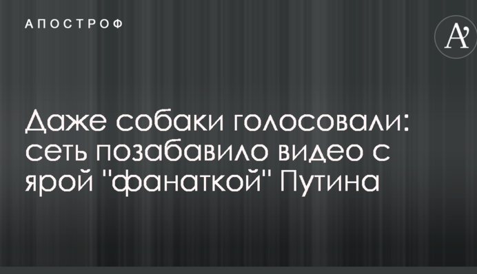 Навіть собаки голосували: мережу потішило відео з затятою 