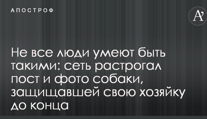 Не всі люди вміють бути такими: мережу зворушив пост і фото собаки, який захищав свою господиню до кінця