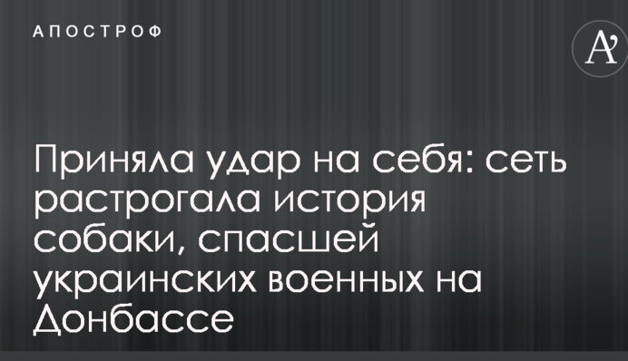 Прийняв удар на себе: мережу зворушила історія собаки, який врятував українських військових на Донбасі