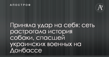 Прийняв удар на себе: мережу зворушила історія собаки, який врятував українських військових на Донбасі