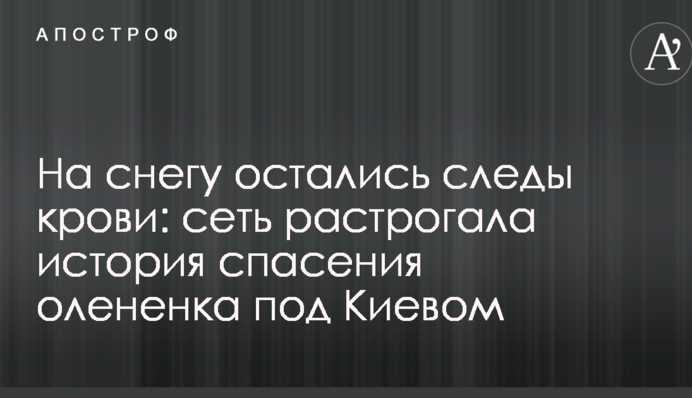 На снігу залишилися сліди крові: мережу зворушила історія порятунку оленяти під Києвом