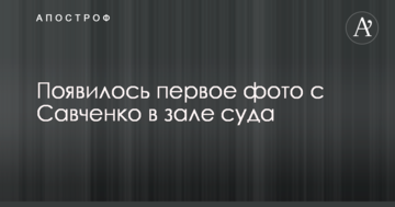Появилось первое фото с Савченко в зале суда